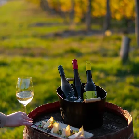 Bohem Borklub Nocleg ze śniadaniem