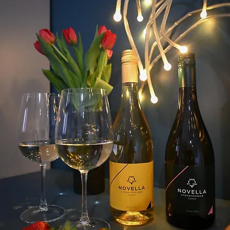 Nocleg ze śniadaniem Bohem Borklub